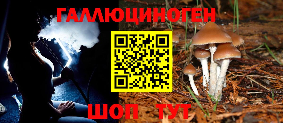 Псилоцибиновые грибы Cubensis Липецк